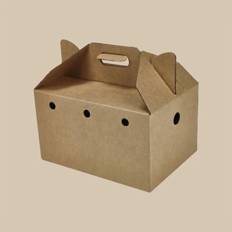 Cardboard Can Carrier