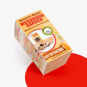 Custom Mushroom Boxes