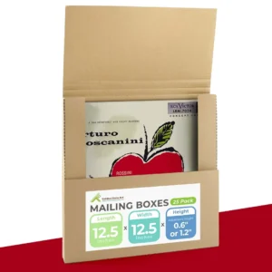 12 inch vinyl record mailers