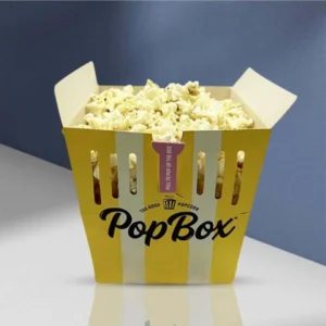 cardboard popcorn boxes