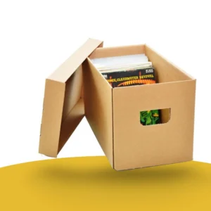 cardboard storage boxes with lids
